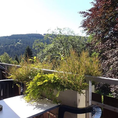 Residenz Bocksberg-Blick & St. Florian Vila Goslar Exterior foto